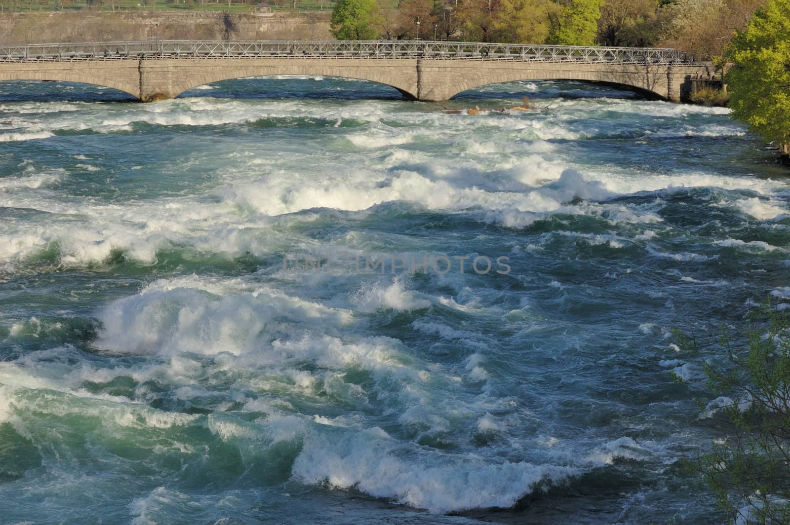 River rapids of the upper Niagara River before the falls.