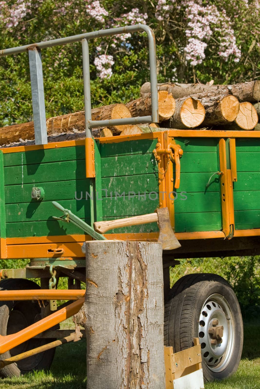 A trailer load with wood, before it an axe in log