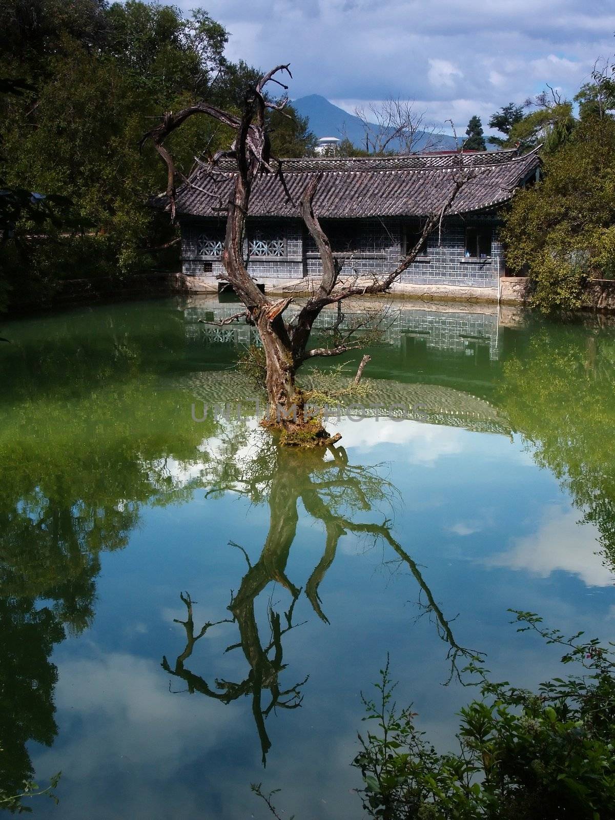 A scenery park in Lijiang China - a top tourist town