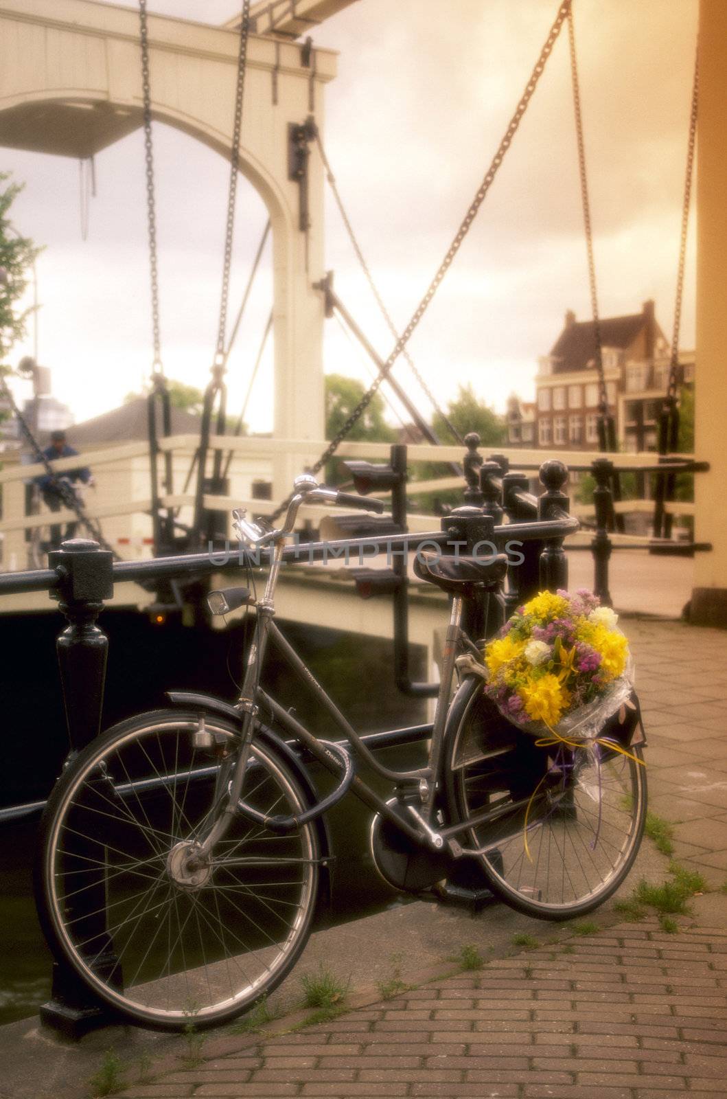 Bike with Flowers, Amsterdam, Holland