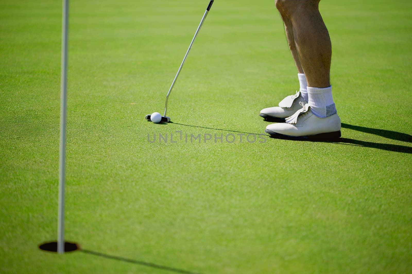 on the putting green