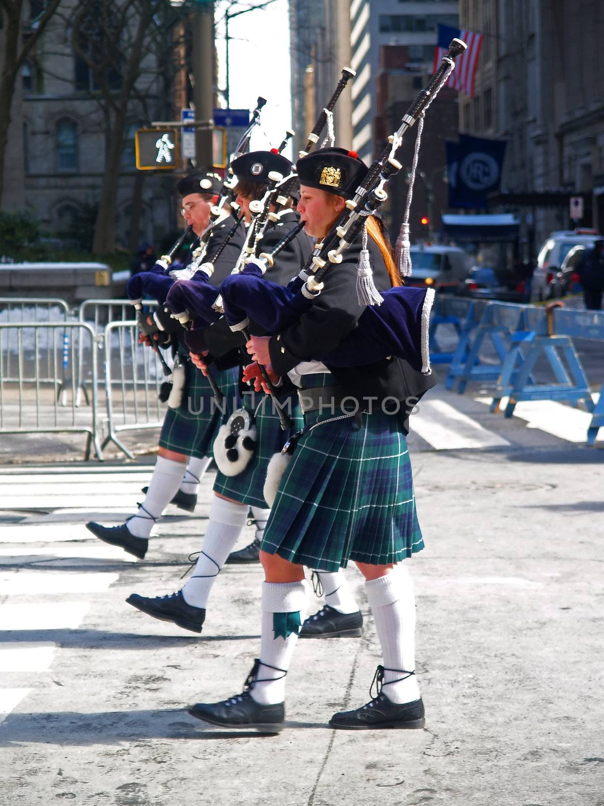 The Saint Patrick Day Parade in New York City