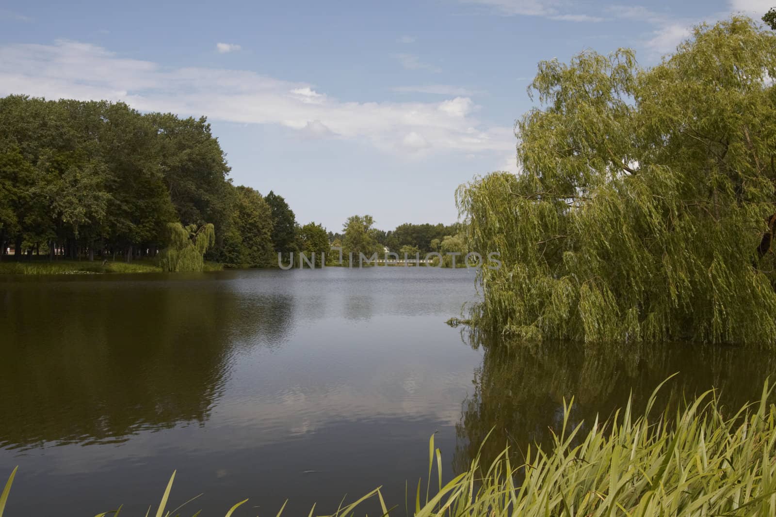 Small lake in center park. July, 2009. Lithuania