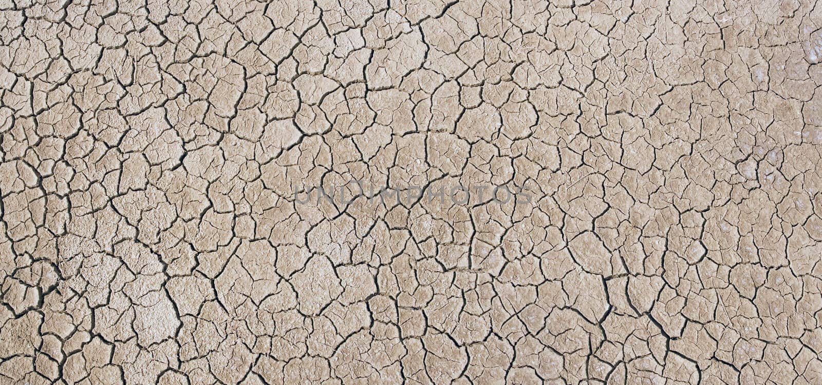 dry ground by chrisroll