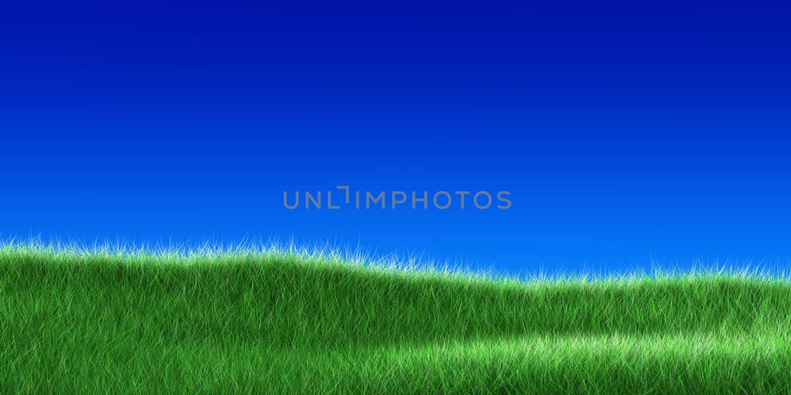 grass on a blue sky by chrisroll