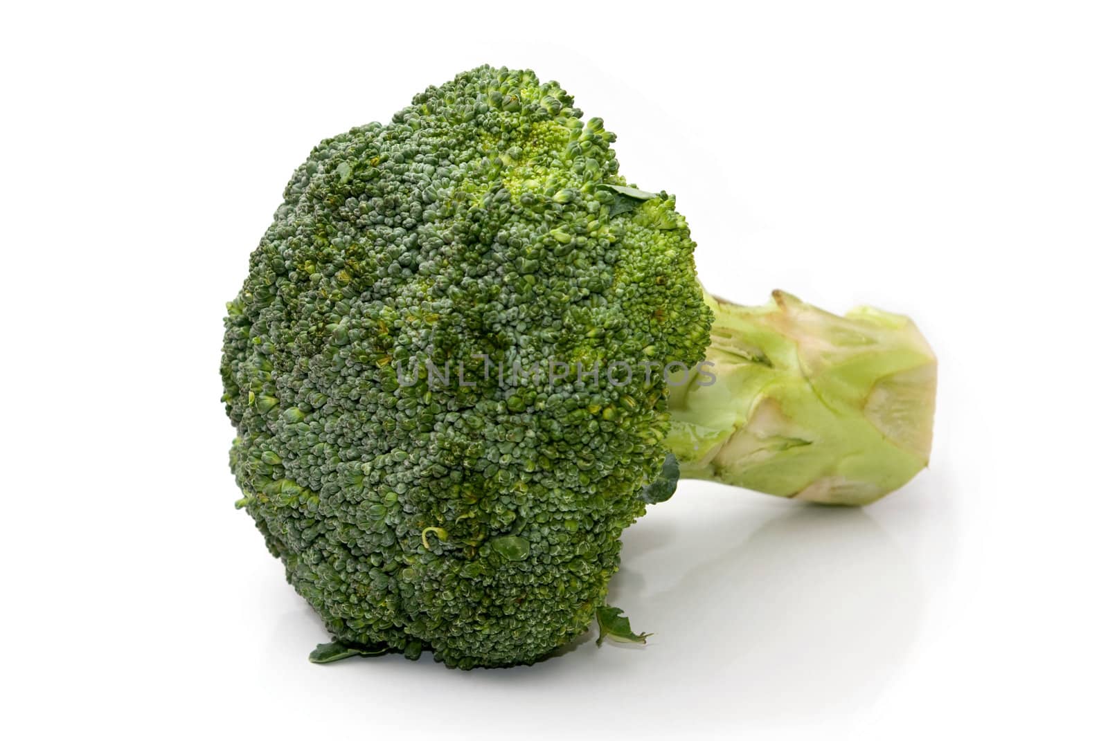 Green broccoli isolated on white background.