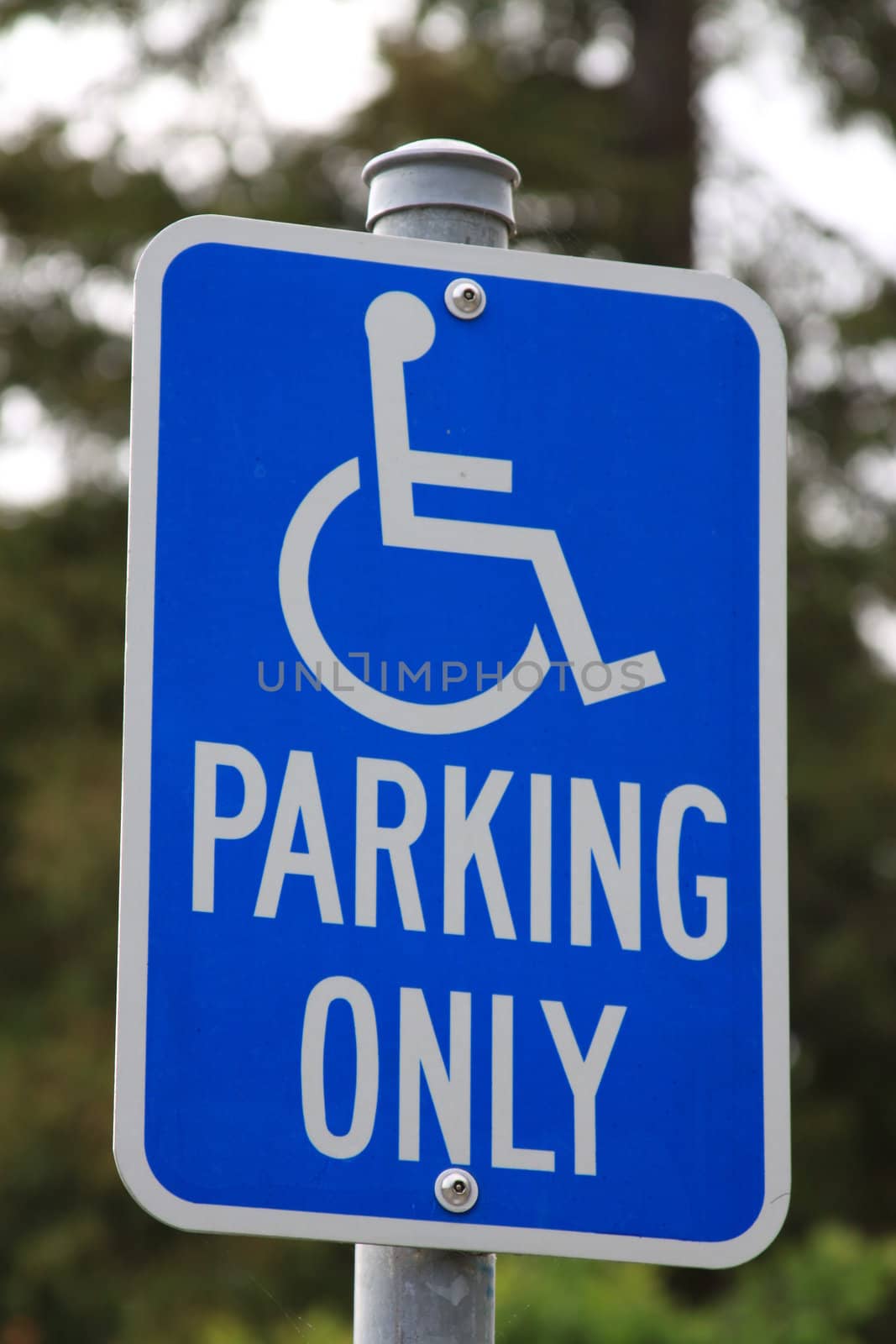 Disabled Parking Only Sign by MichaelFelix
