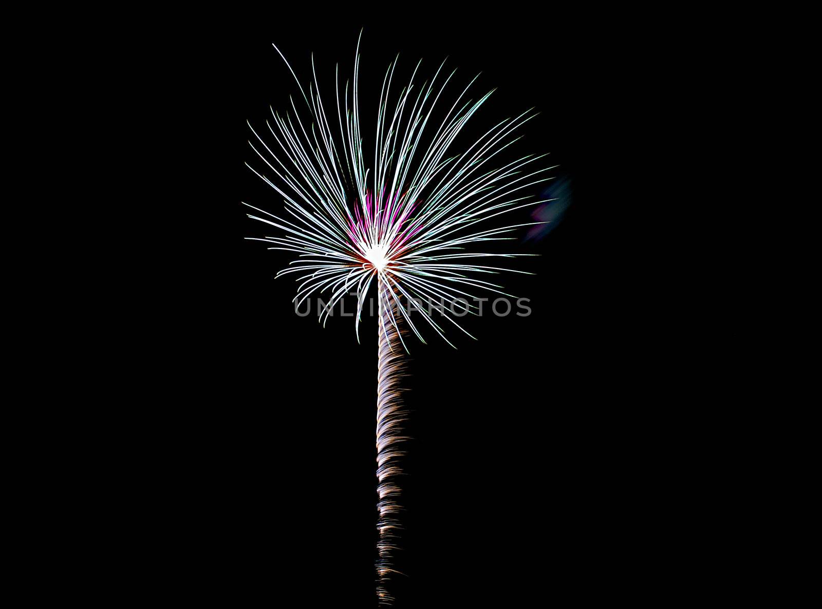 Sparks of purple and blue in a Fourth of July celebratory fireworks display.