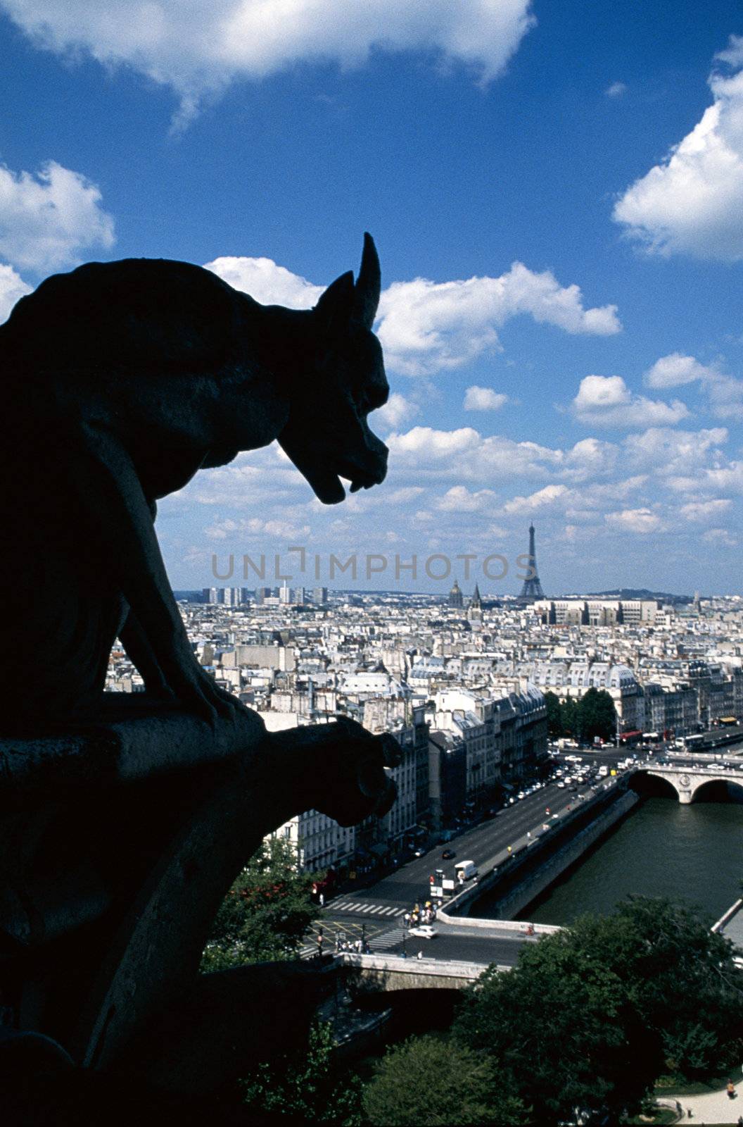 Gargoyle, Paris, France