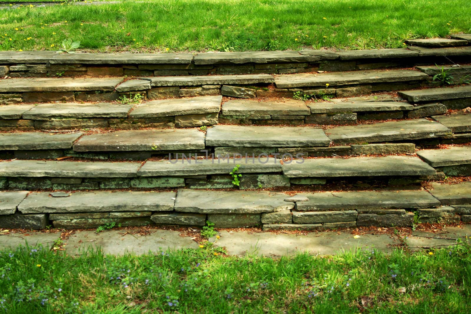 A Old stone stairway with grass