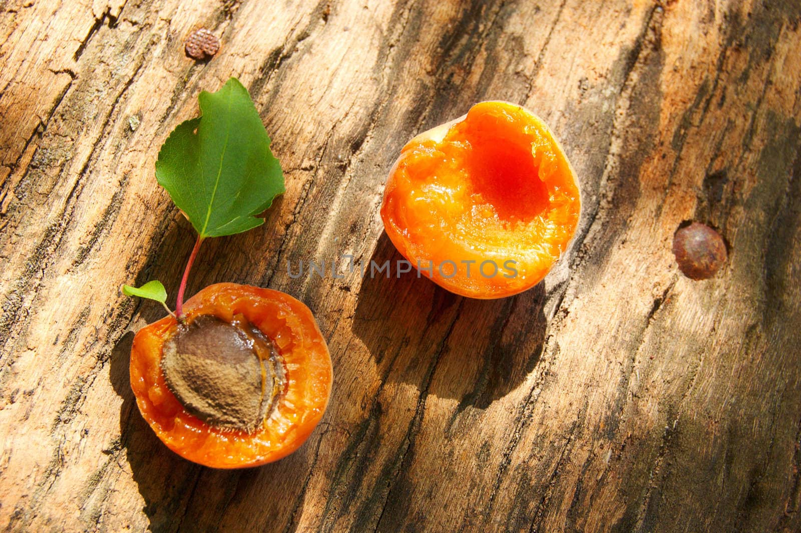 Apricot on wooden background