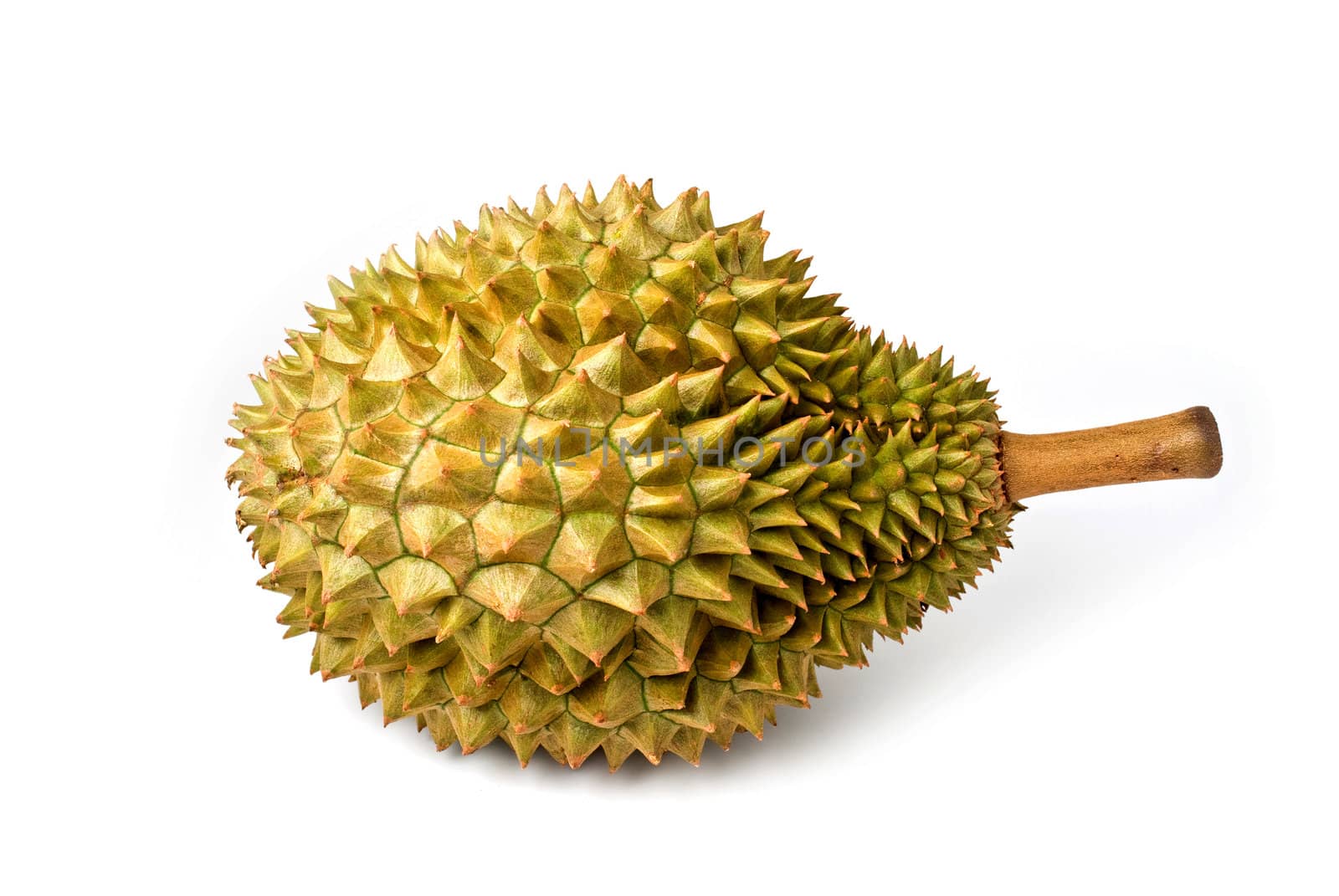 Durian on white background, Isolated