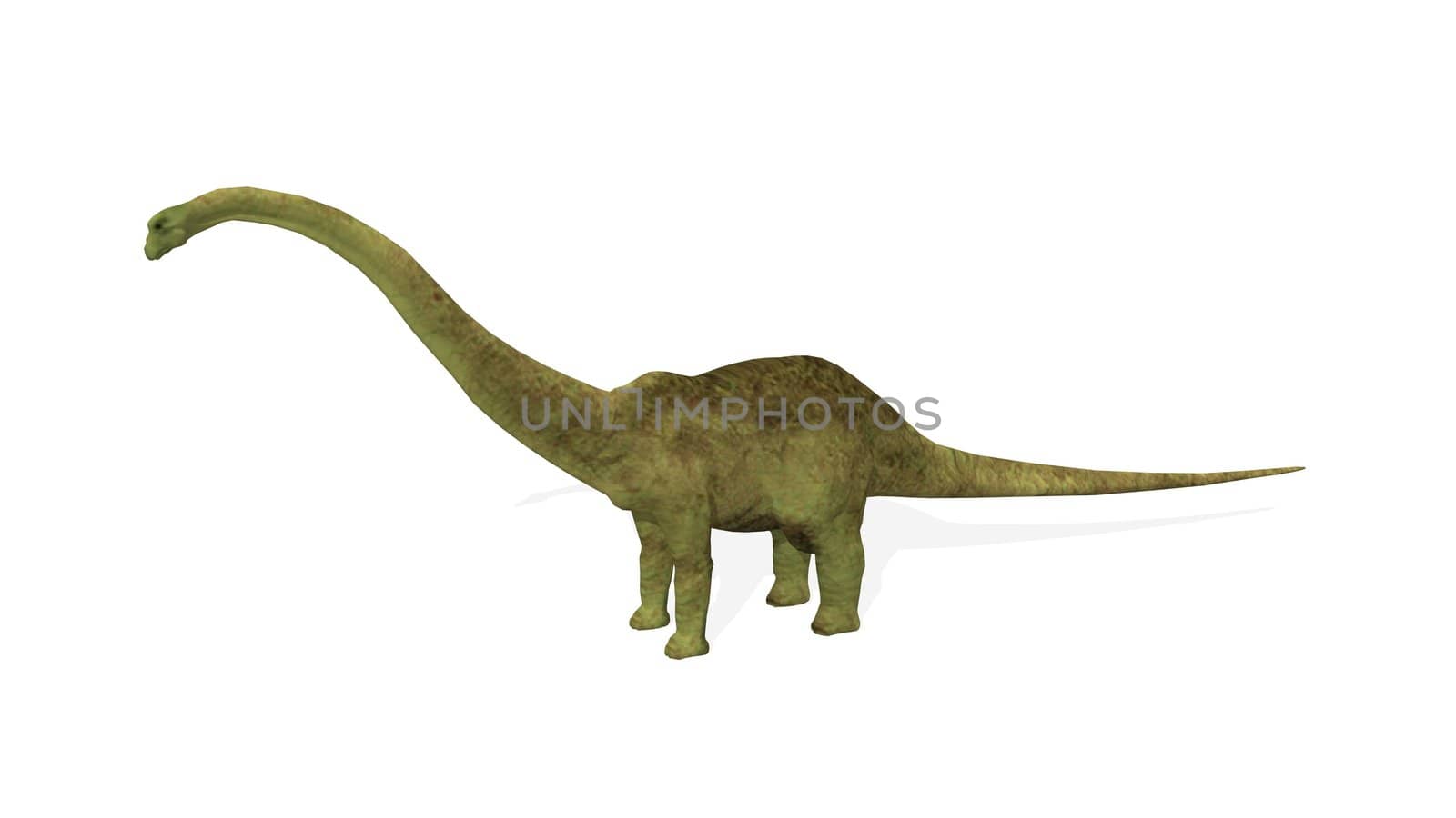 3D render of an isolated diplodocus dinosaur