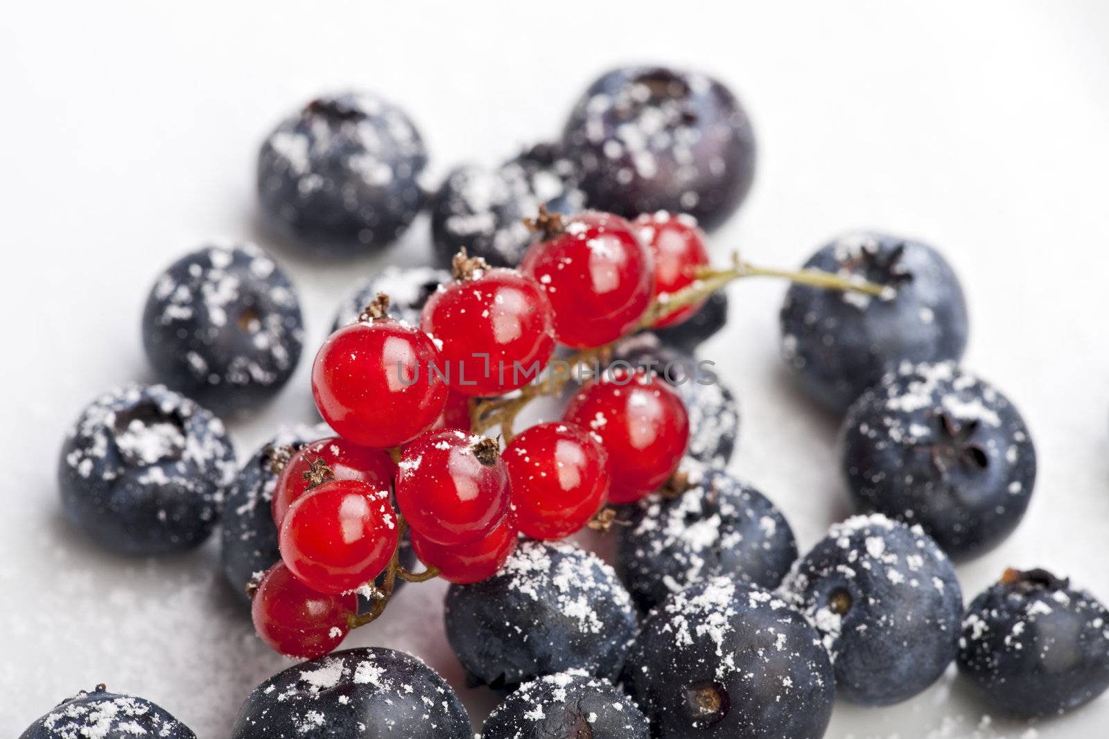 blueberries and red currant with icing sugar on white background by bernjuer