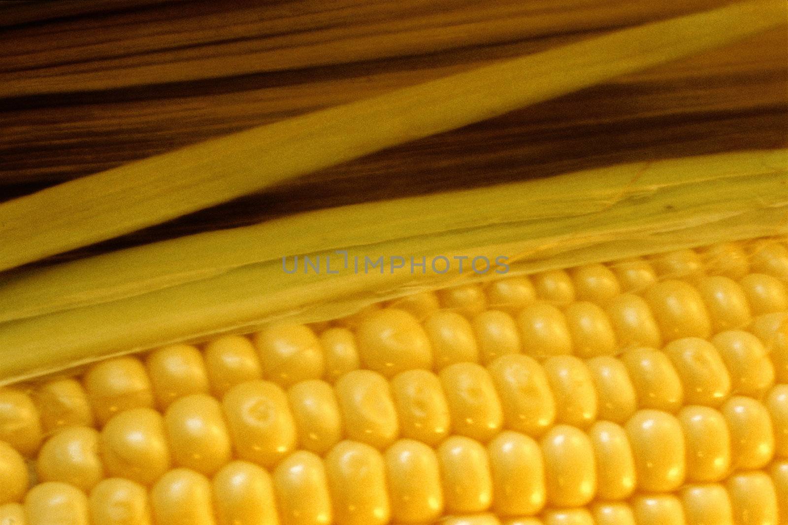 yellow corn on the cob by photo_guru