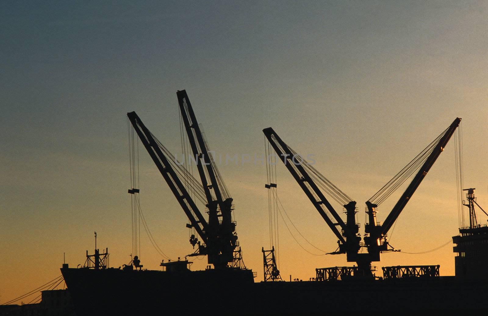 silhouette of crane