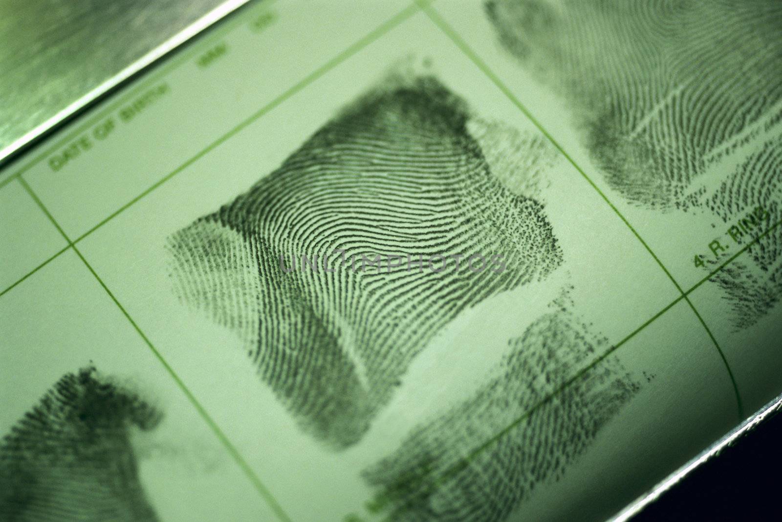 Fingerprint by photo_guru