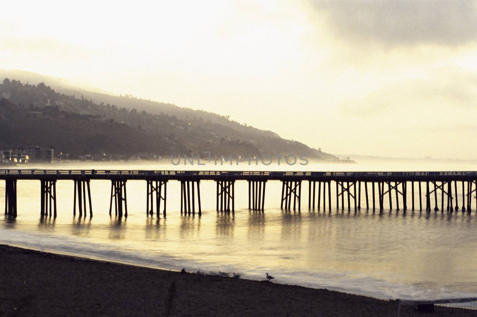 Misty Boardwalk