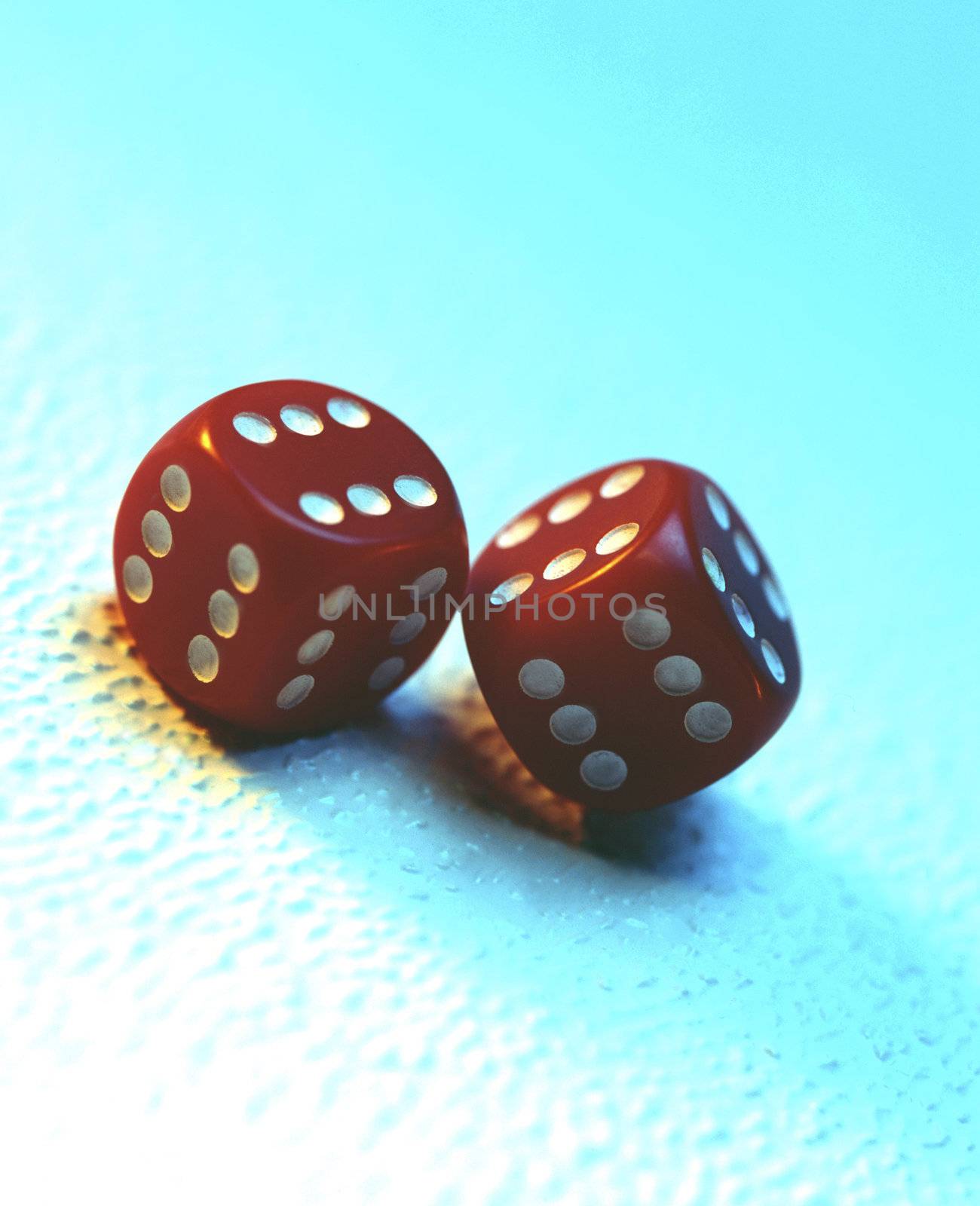 rolling the dice by photo_guru