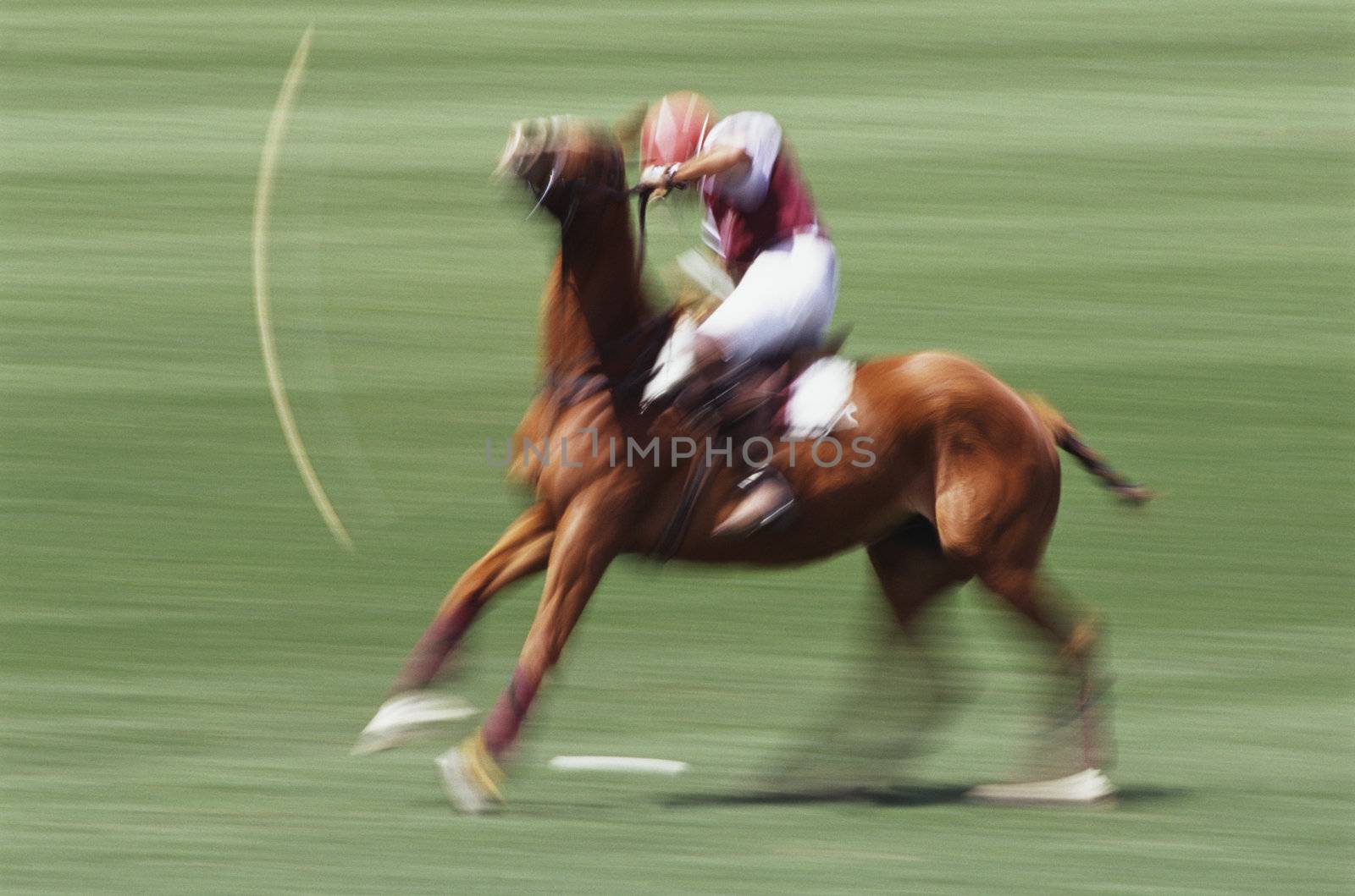 Polo Player