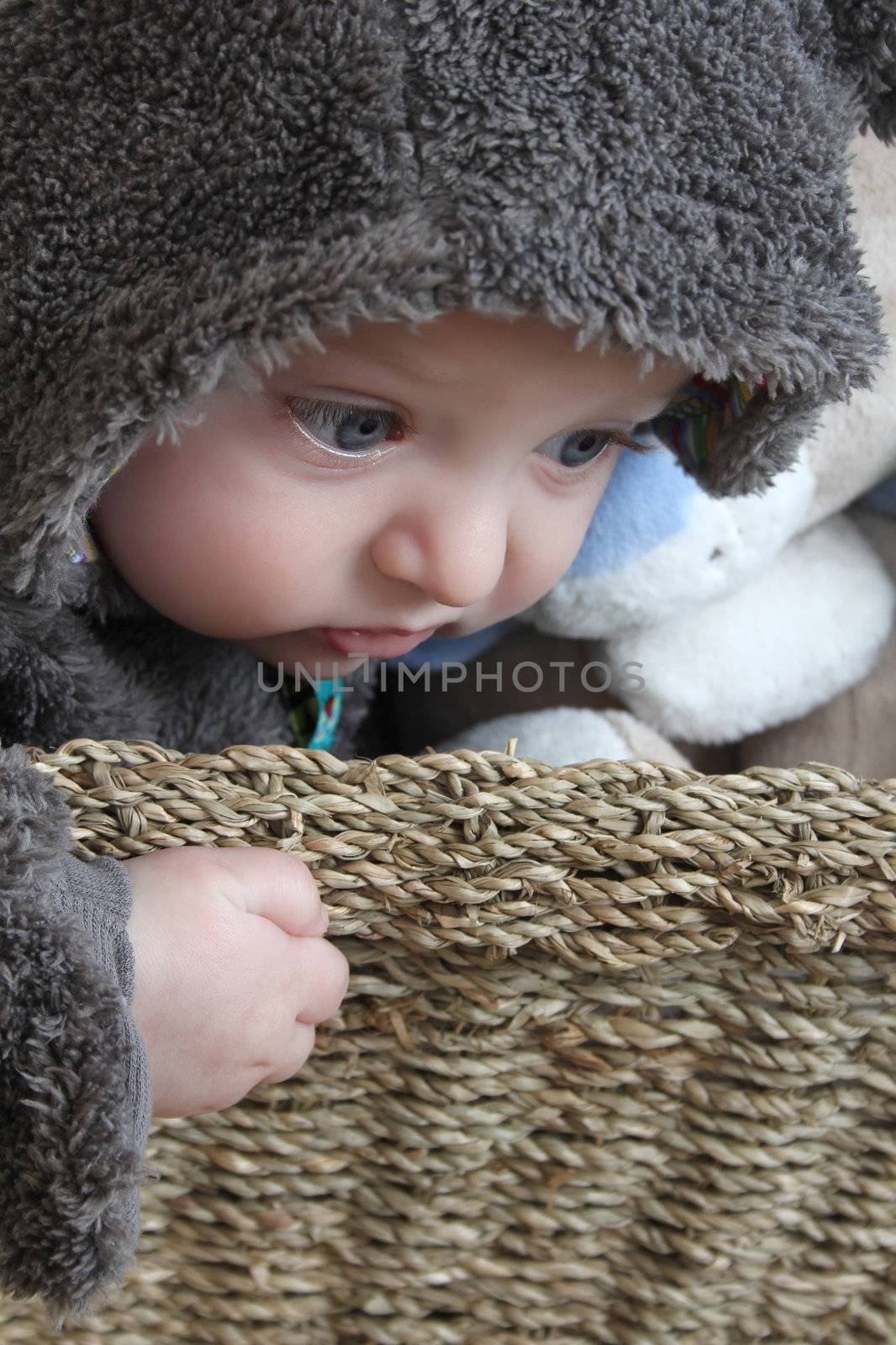 Four month old baby boy wearing a fully bear suit 