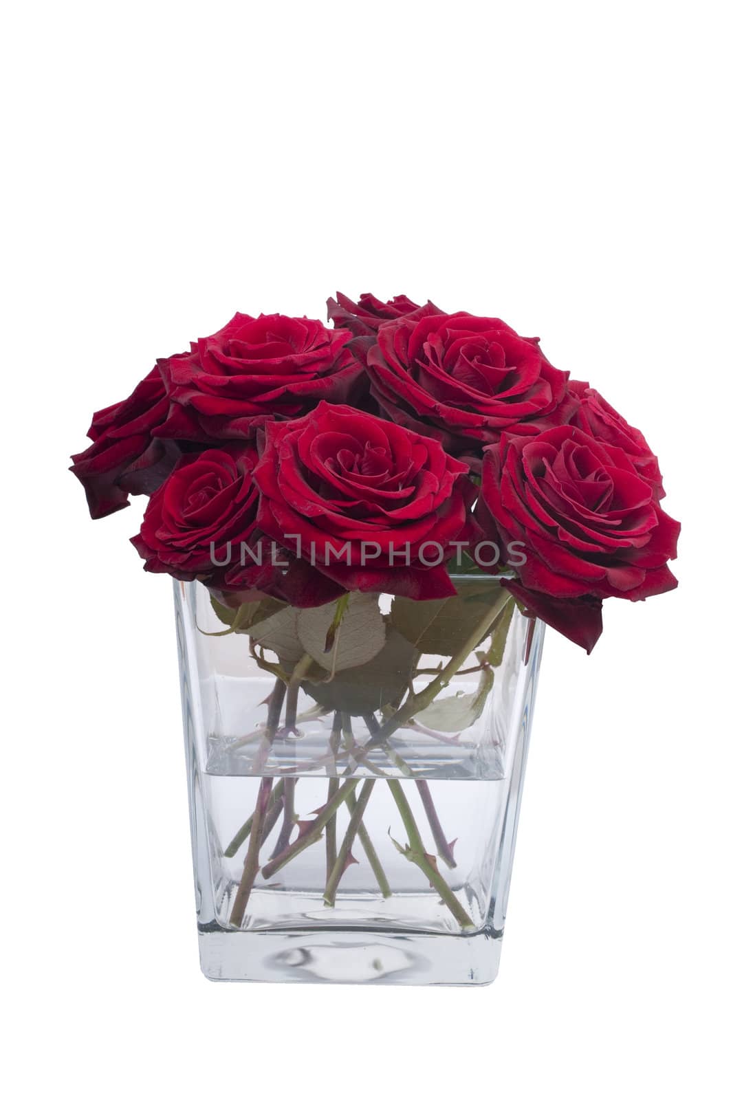 Bunch of red rose flowers in a small vase