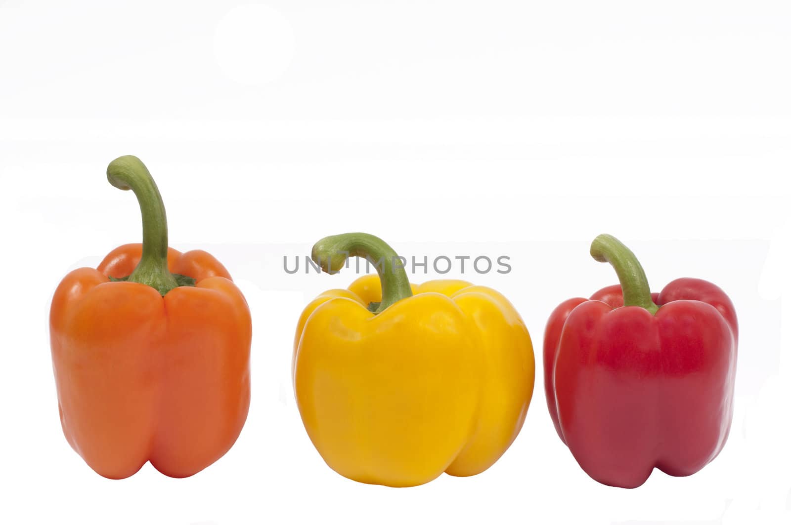 Orange, Yellow and Red Capsicums (lined view)