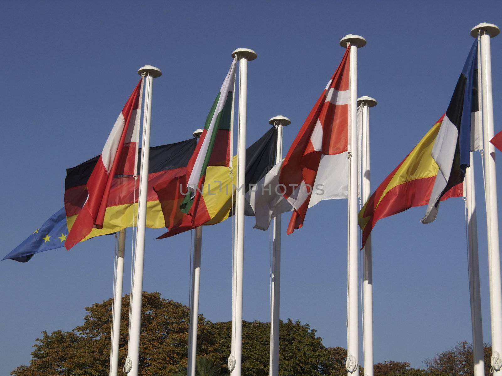 European Flags in the Luxembourg garden in Paris