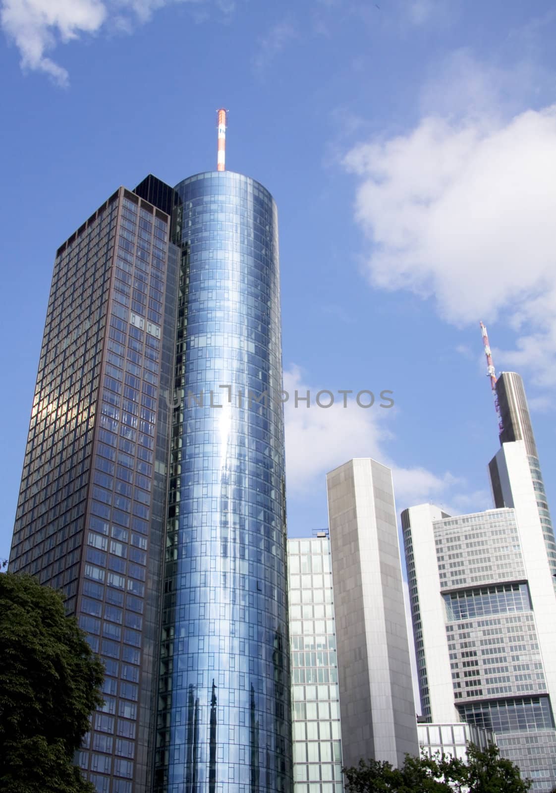 Skyline in Frankfurt viewed from the park.