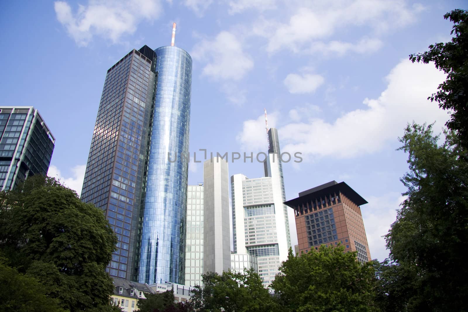 Skyline in Frankfurt viewed from the park.