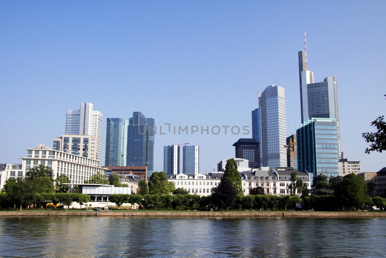 Frankfurt skyline from the other side of the river
