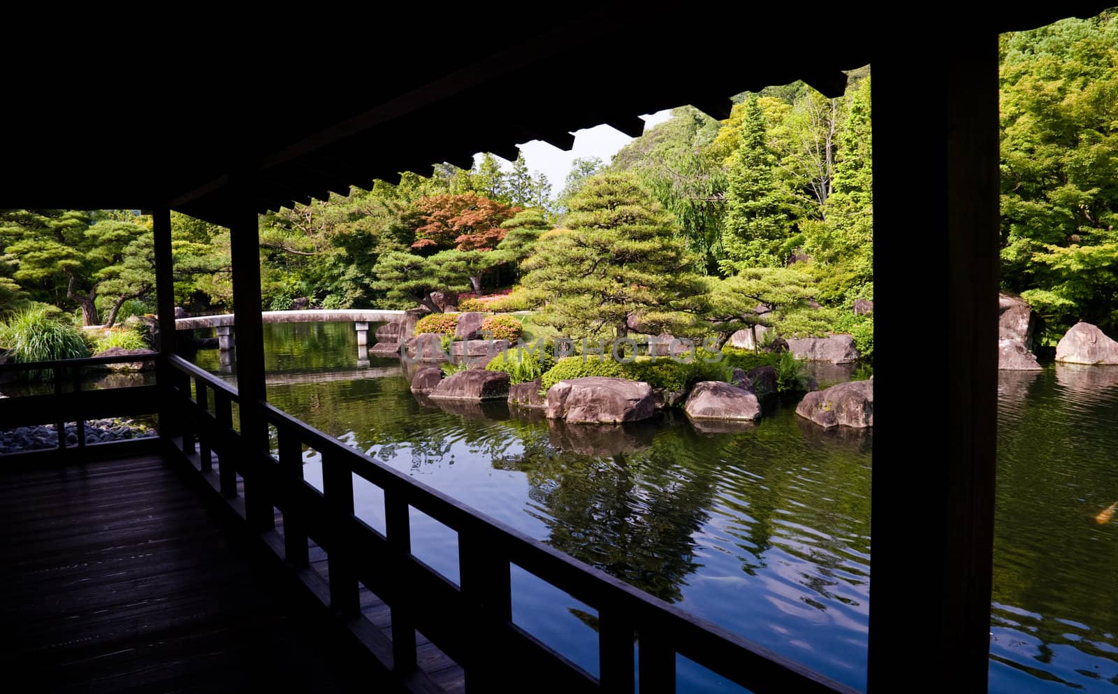 A pond in a traditional Japanese garden. by 300pixel