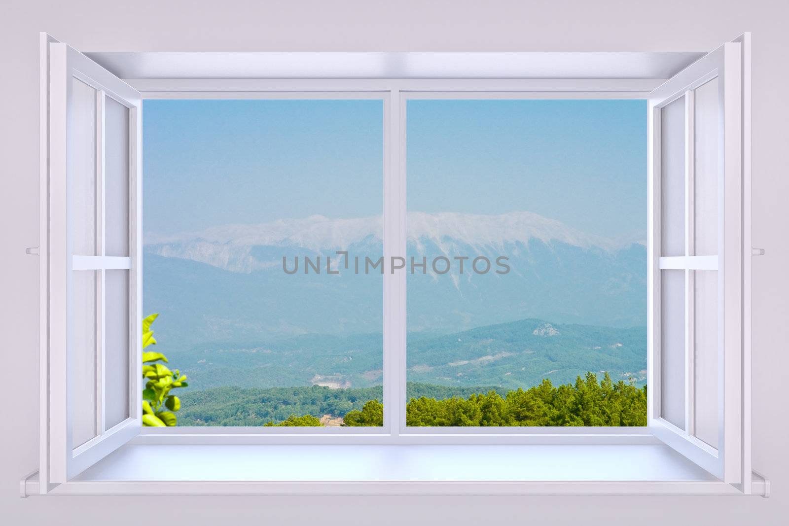 Window to nature by richwolf