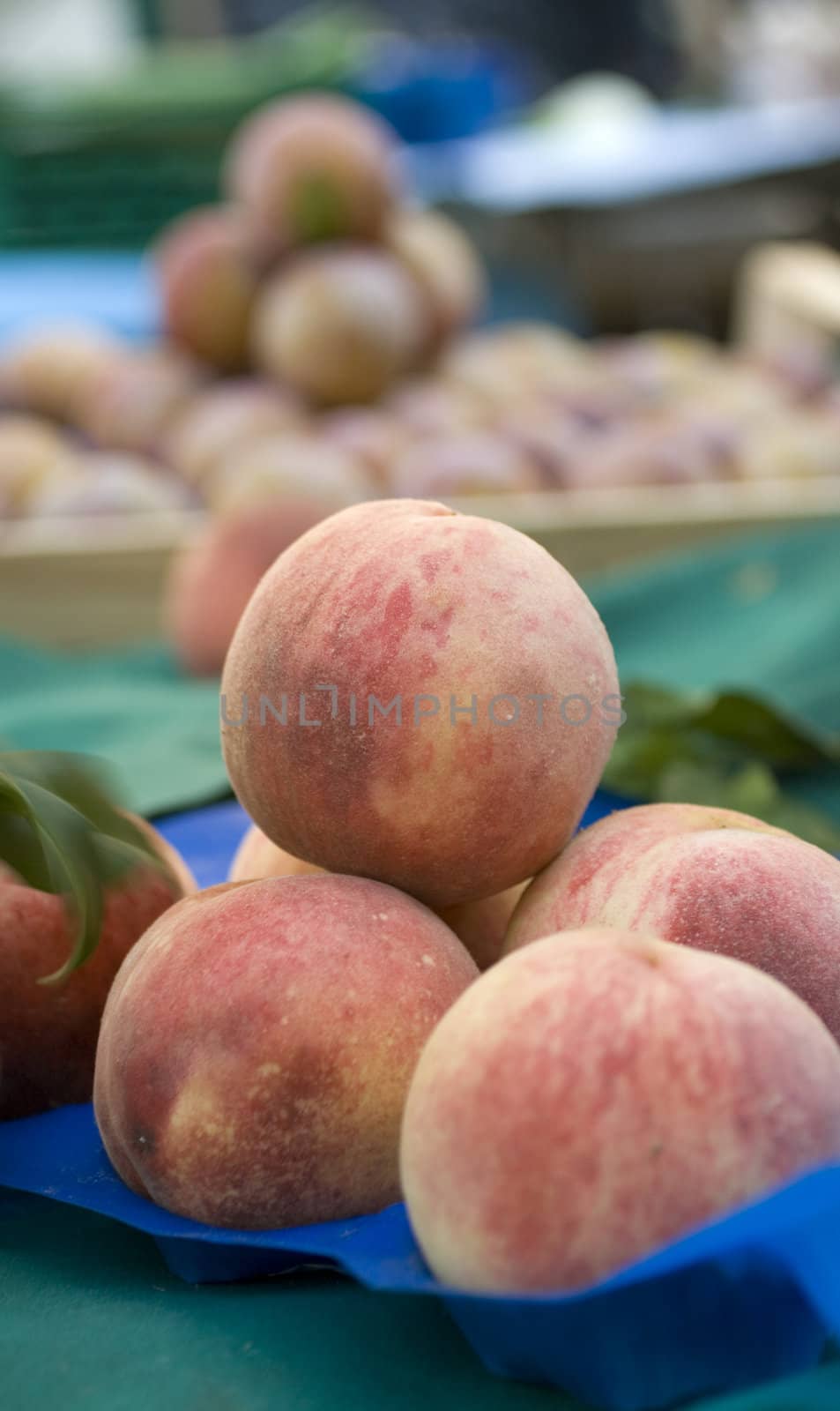 a basket of peaches