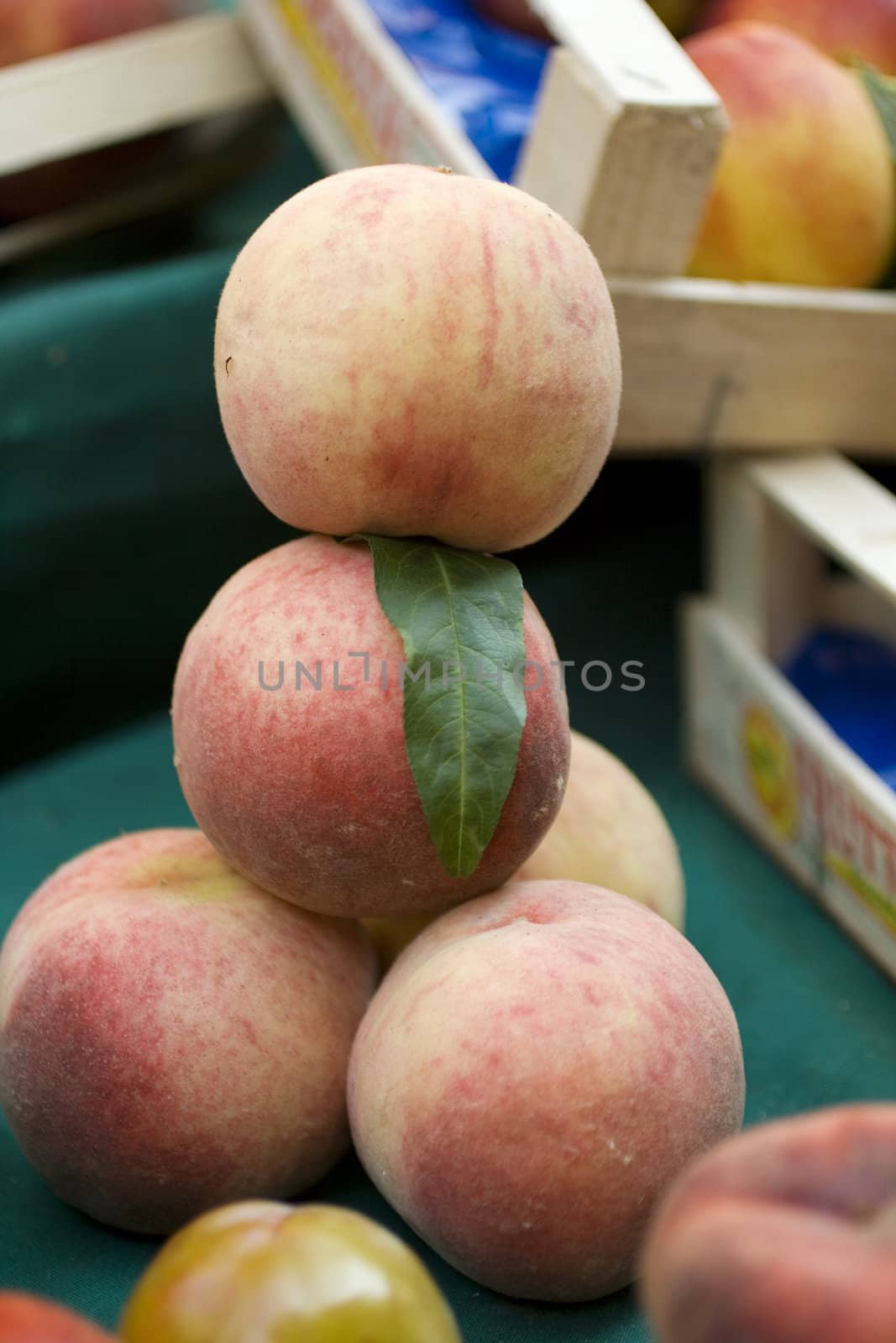 a basket of peaches