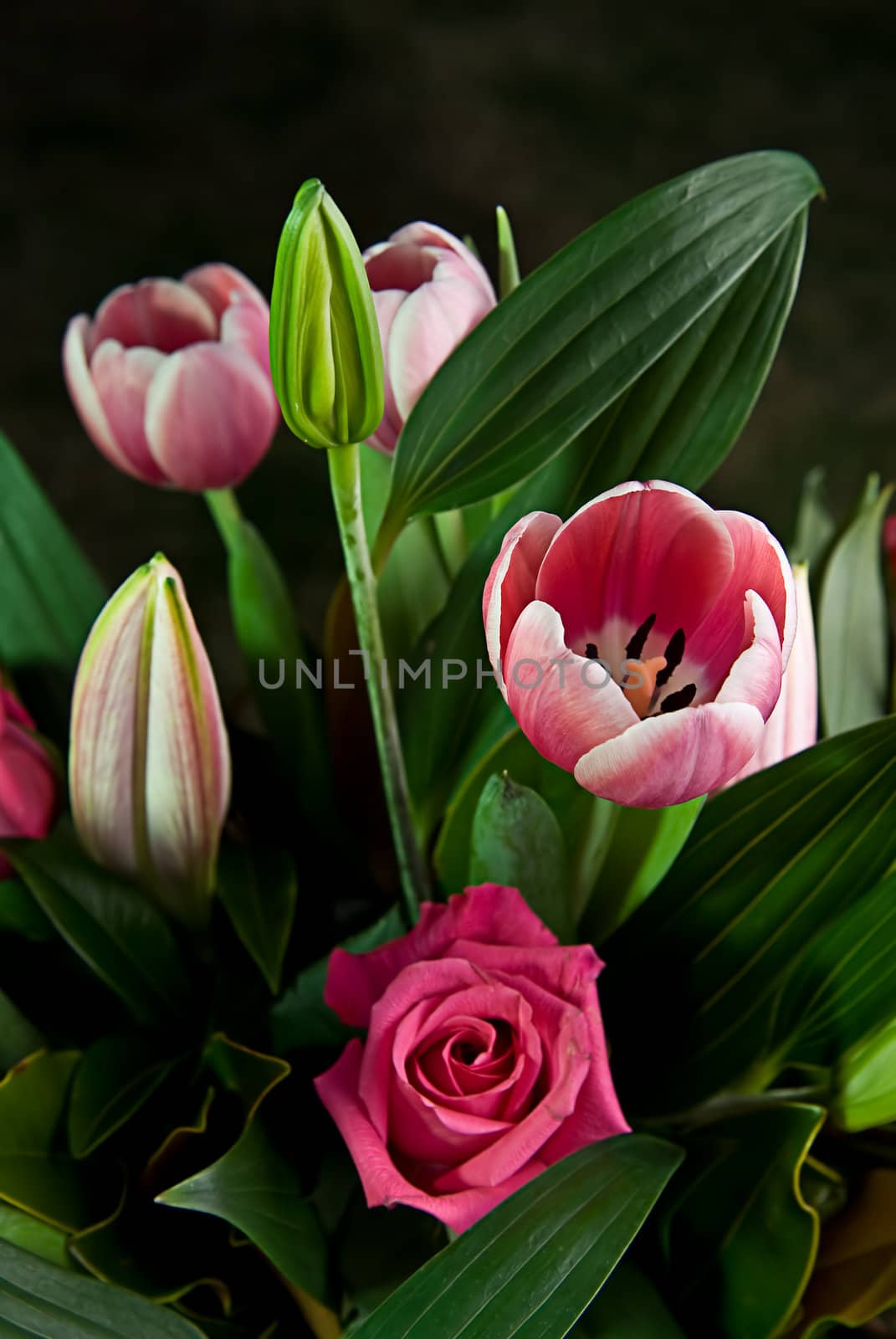 A bunch of flowers with green leaves. Tulips, roses etc.