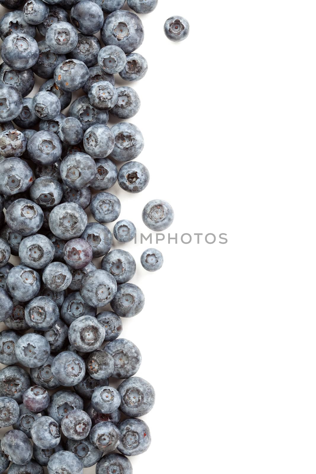 Fresh Blueberries Border Isolated on a White Background.