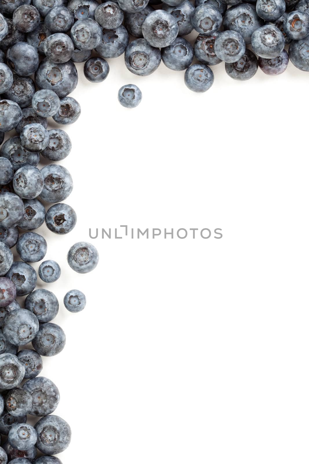 Fresh Blueberries Border Isolated on a White Background.