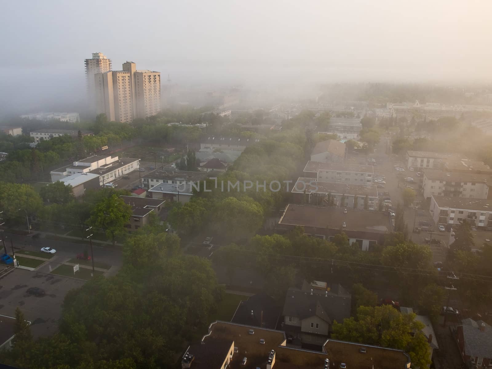 A blanket of fog rolling across a residential neighborhood on an August morning.