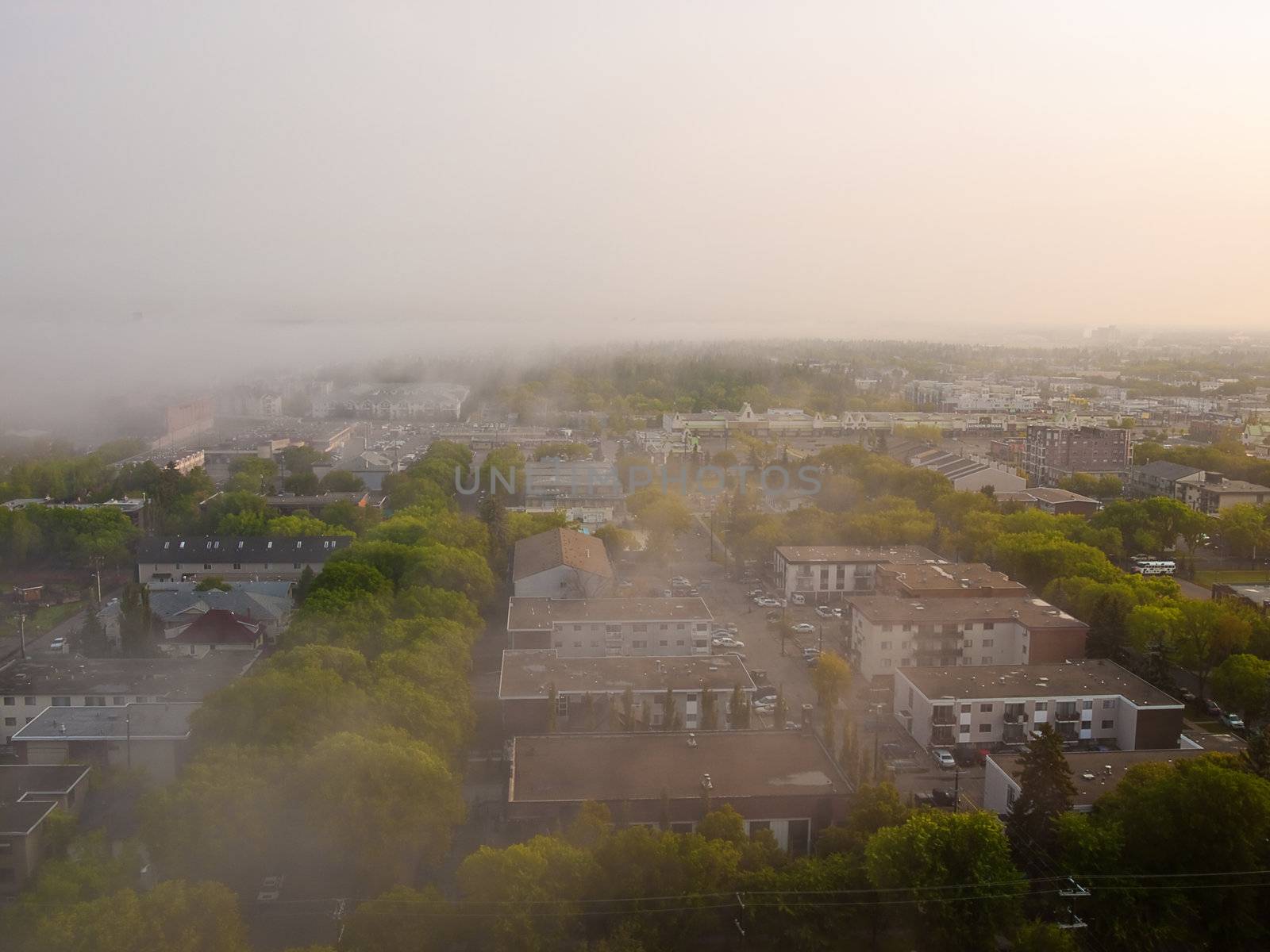 Fog rolling through a residential neighborhood on an early July morning.