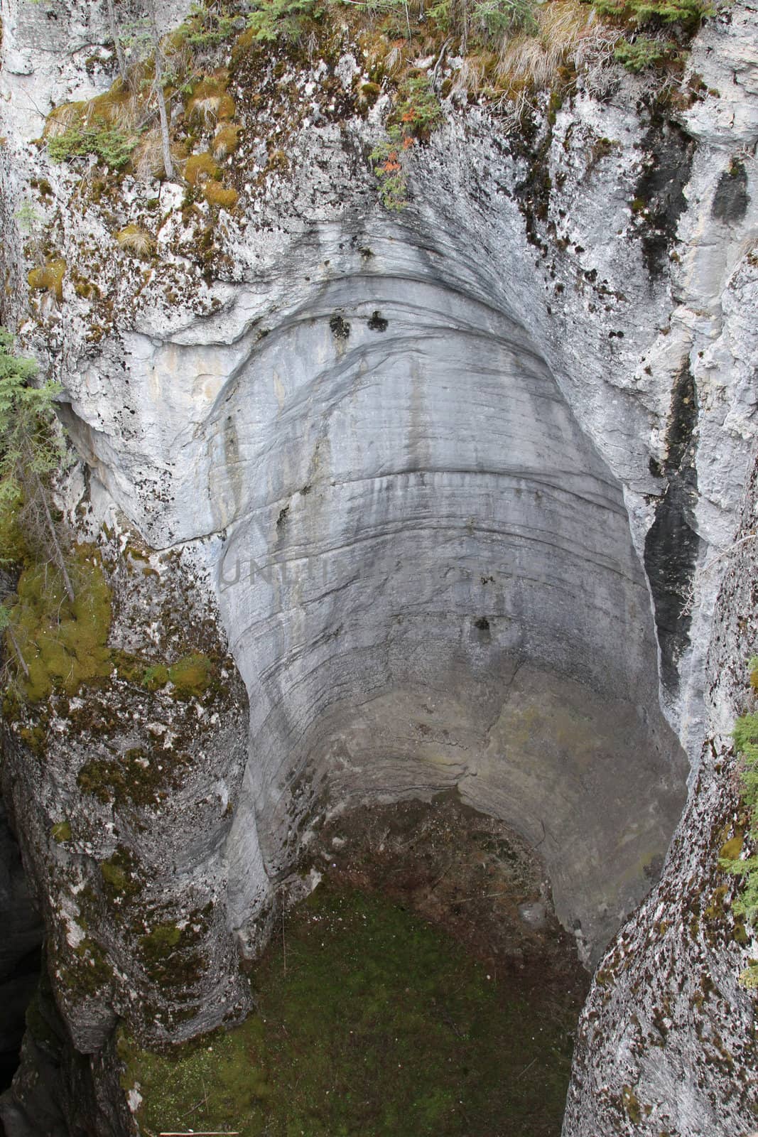 Rock wall at Maligne Canyon in Jasper National Park, Canada