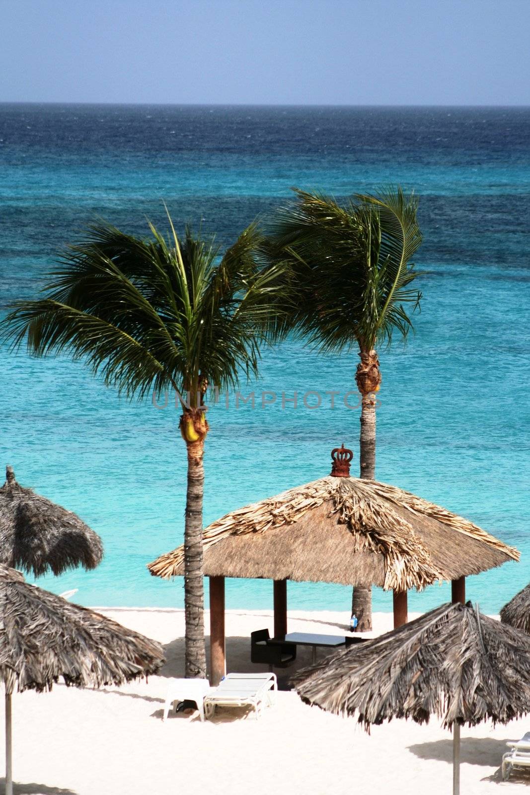 Relax on the beach under the palms, Aruba, Dutch Caribbean.