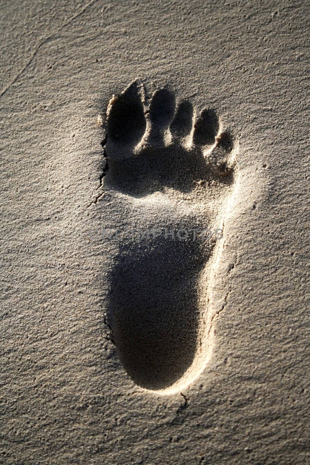 Footprint on the beach by adrianocastelli