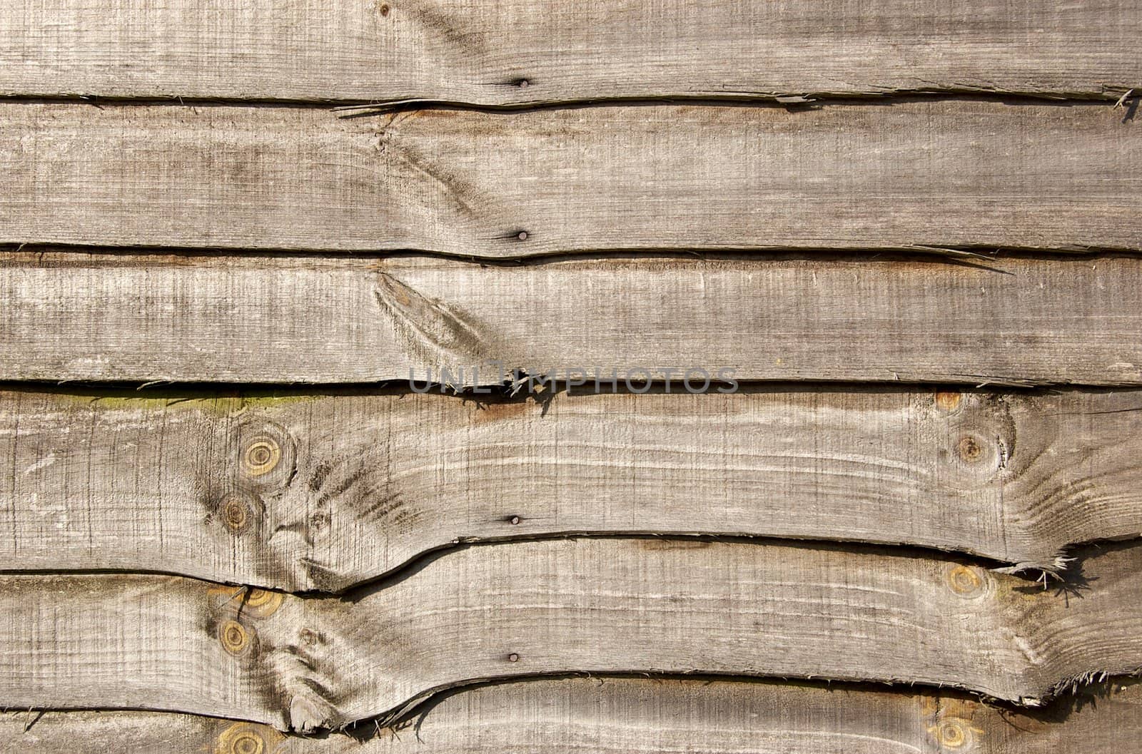 Wooden Fence panel for use as a background