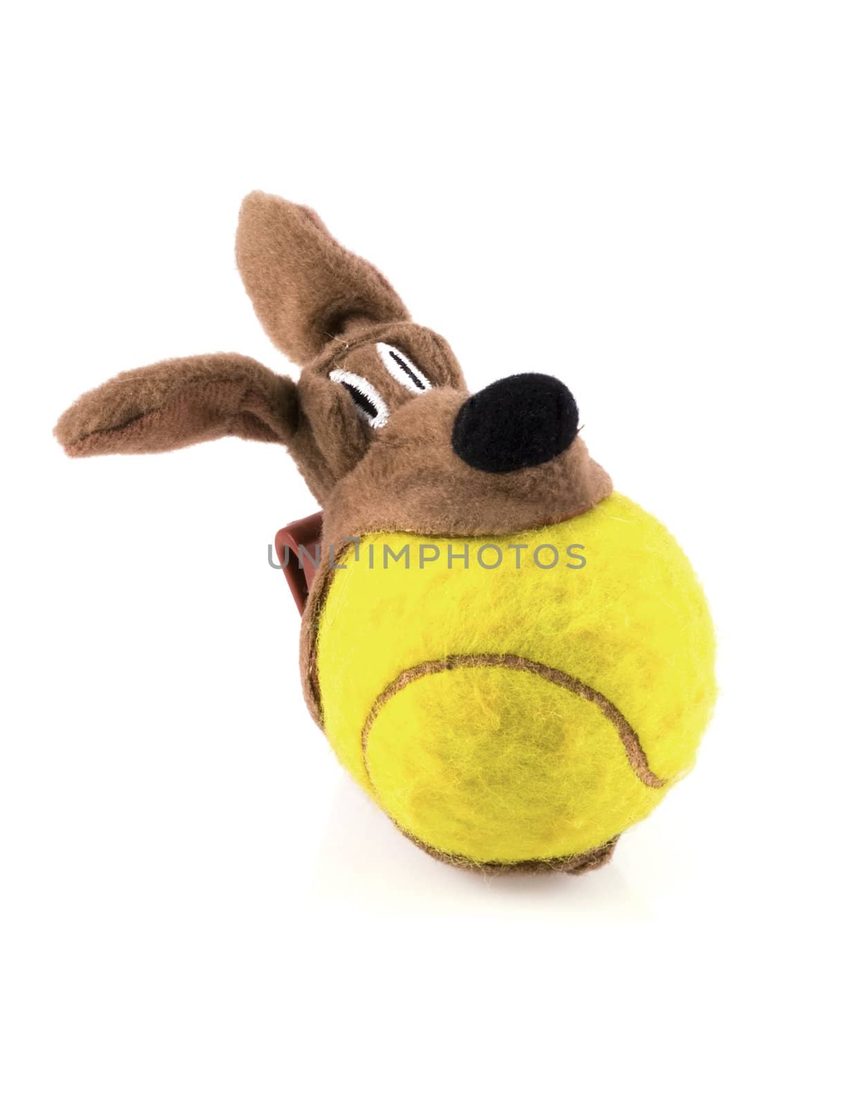Ball holder plaything in doggy shape, isolated on white.
