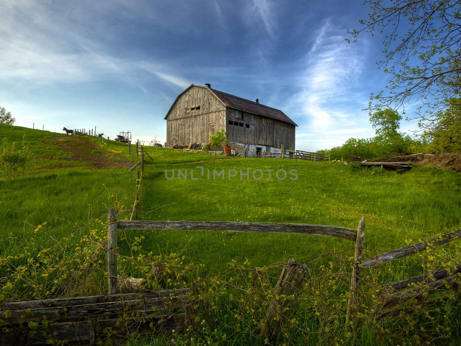 Rural Ontario farm scence of an old barn on a hill in spring time