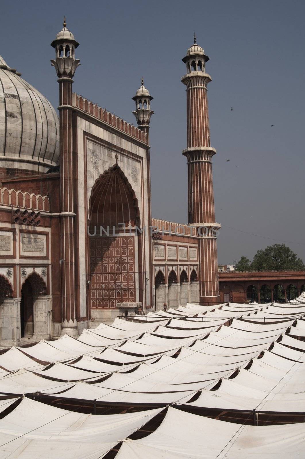 Awnings in the courtyard of the Friday Mosque (Jama Masjid) to shelter worshippers from the sun. Old Delhi, India.