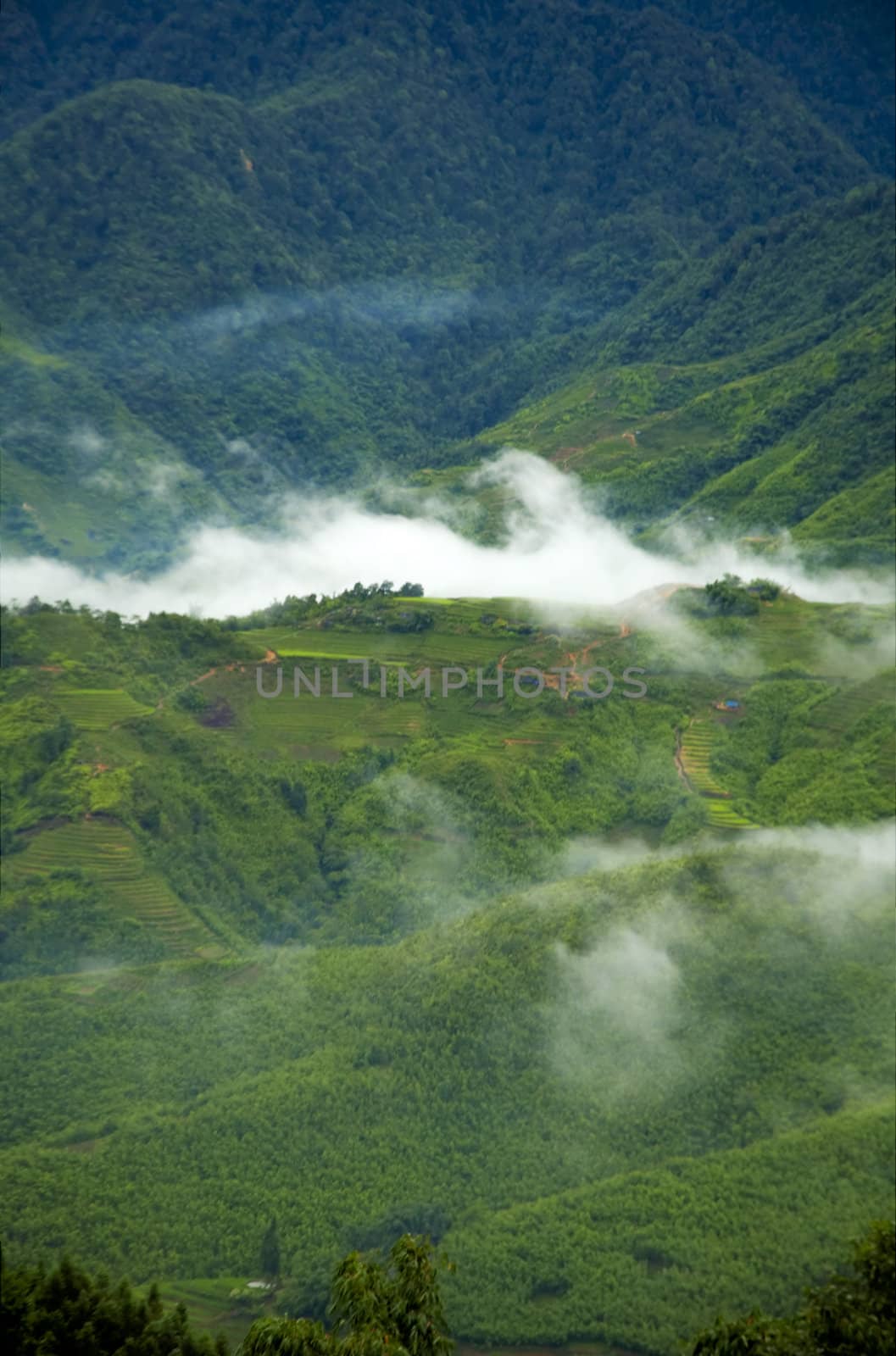 Valley at Sa Pa, Vietnam