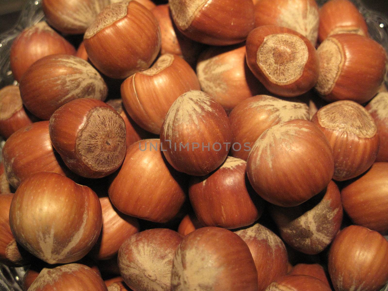 Close-up photo of nuts. Radiant: glow-lamp