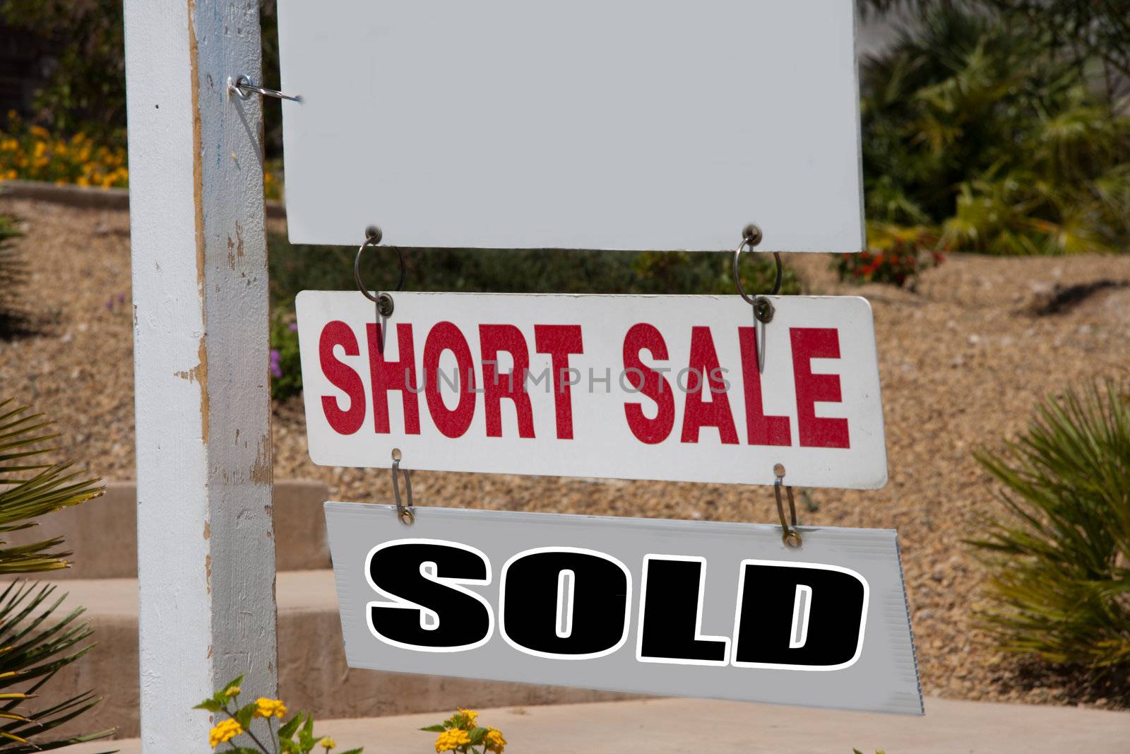 short sale and sold real estate sign by GunterNezhoda